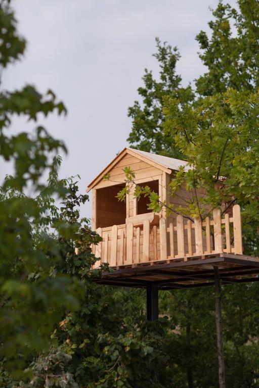 Agriturismo Da Mamma อัลบา ภายนอก รูปภาพ