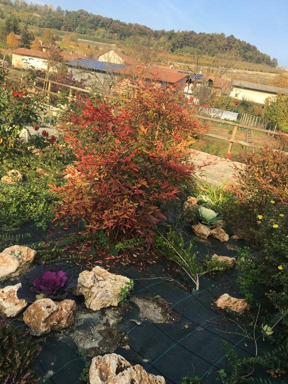 Agriturismo Da Mamma อัลบา ภายนอก รูปภาพ